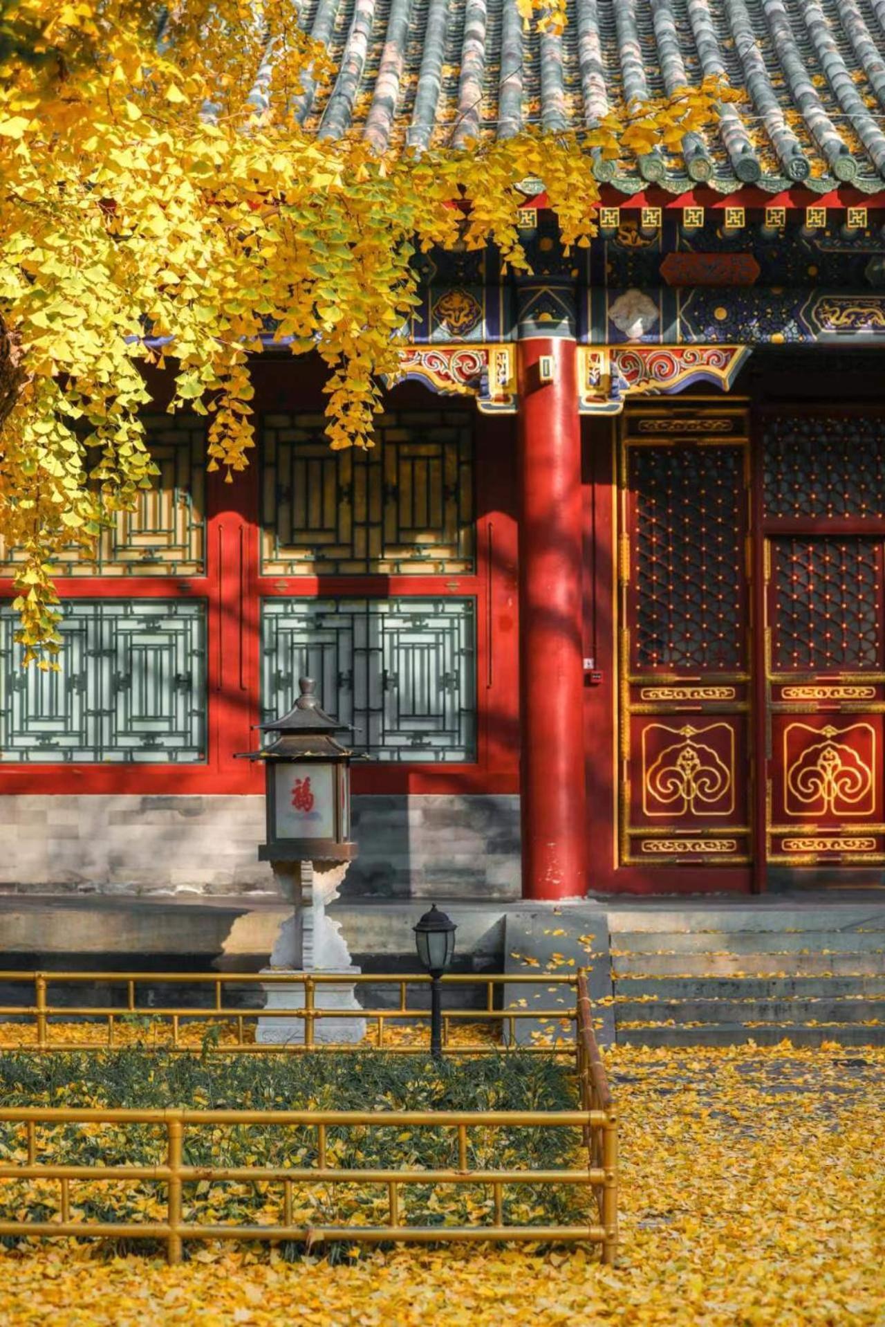 Nostalgia Hotel Near Prince Gong'S Mansion- Beihai Park, Tian'Anmen Square, Nanluoguxiang Hutong, Huguosi Hutong Snack Street, 5 Minutes Walk Away From Ping'Anli Subway Station, Free Ice Cream And Laundry Service,English Communication Well 北京 エクステリア 写真